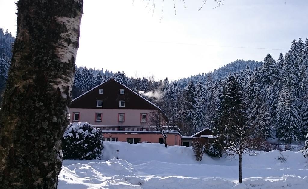 Domaine du Haut des Bluches La Bresse Exterior foto