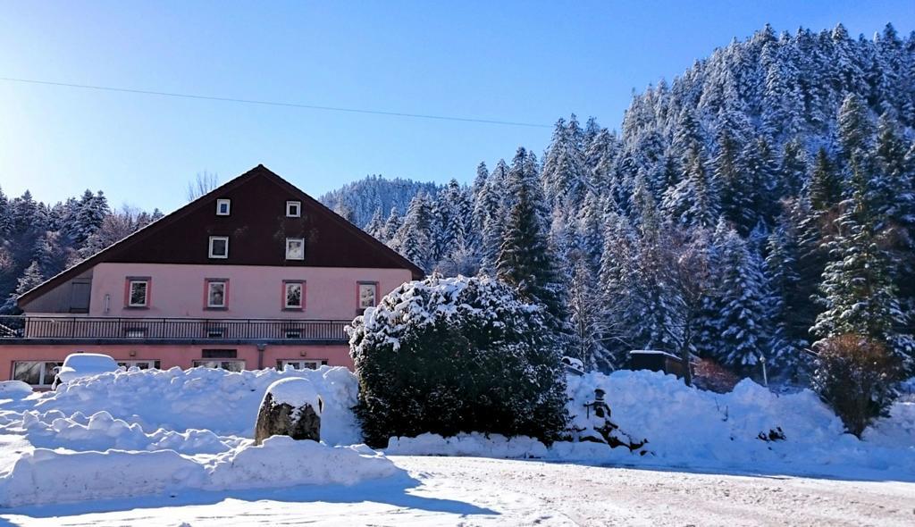 Domaine du Haut des Bluches La Bresse Exterior foto